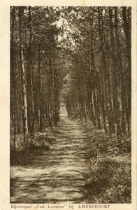 13145 Gezicht op een pad met gemengde bomen op het landgoed Nimmerdor te Amersfoort.